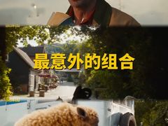 -SFC上影影城(港汇永华IMAX激光店)