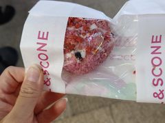 -CC BAGEL&SCONE 贝果与司康(南开大悦城店)