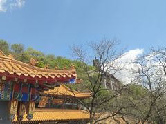 -高尔山公园