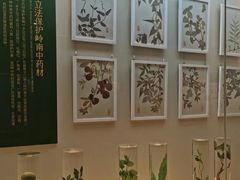 -广东中医药博物馆