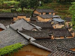 -杨家堂村