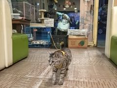 -花园街6号(千禧店)