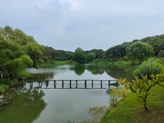 -东方绿舟景区