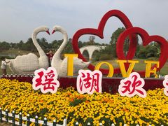 -瑶湖郊野森林公园