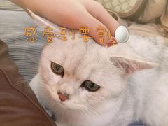 -美联众合动物医院·24h京西诊疗中心