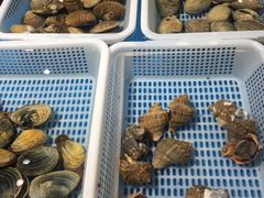 -恒生万鹂广场(唐镇店)