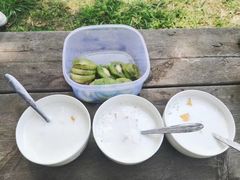 -合肥滨湖国家森林公园