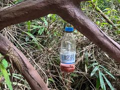 -海南热带雨林国家公园吊罗山景区