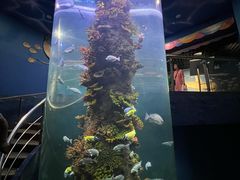 -西安曲江海洋极地公园