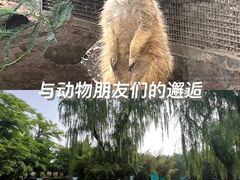 -北京动物园