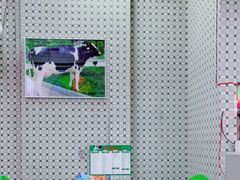 -义顺牛奶公司(板樟堂店)