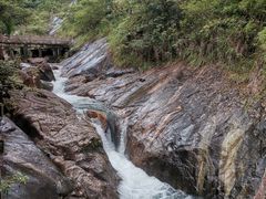 -广州白江湖森林公园