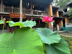 -灵谷景区