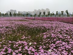 -汉江湾体育公园