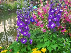 -人民公园(罗湖区)