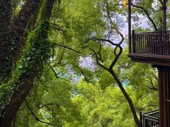 -巴倒烫陆派火锅山庄(南山总店)