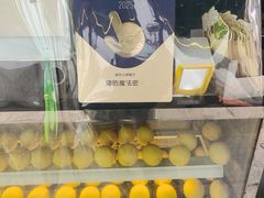 -猫的魔法密林(衣裳街店)