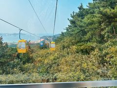 -摩天岭风景区