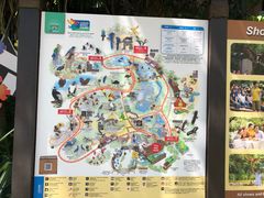 -新加坡飞禽公园