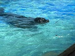 -太平洋海底世界