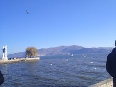 -阳光便利店(环海西路店)