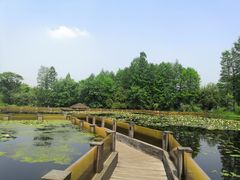 -西溪国家湿地公园