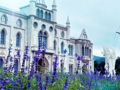 -玫瑰海岸文化旅游度假区