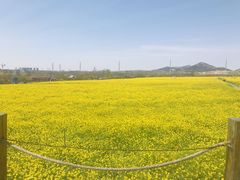 -西海岸生态观光园