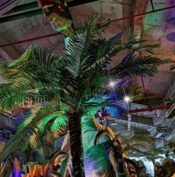 -恐龙探索乐园(磁器口店)