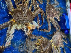 -永辉超市(鲁谷店)