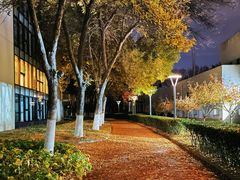 -北京国家会计学院