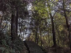 -梦姑塘文化公园