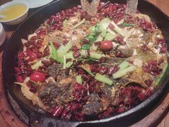 -老板恋上鱼(环山路店)
