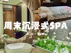 -小仙女采耳·按摩·SPA(深圳旗舰店)