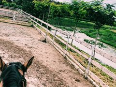 -月河湾马术俱乐部(朝阳店)