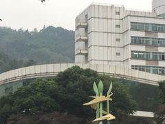 -四川农业大学(雅安校区)