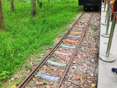 -合肥滨湖国家森林公园