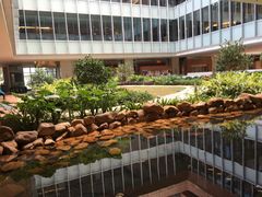 -香港大学