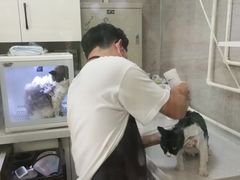 -沐沐家宠物(成寿寺店)