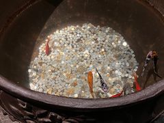 -鼎膳常火锅(华阳店)