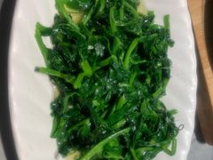 豌豆尖-新沸腾鱼乡(世贸天阶店)