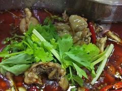 -红牌美蛙鱼头火锅(万辉国际广场店)