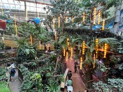 -正佳雨林生态植物园