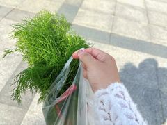 -团泊镇示范集贸市场