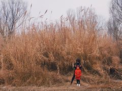 -淇河国家湿地公园