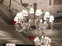 -大鸭梨烤鸭店(花园村店)