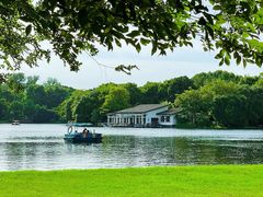 -上海共青森林公园