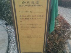 -大连金石滩绿发温泉假日酒店