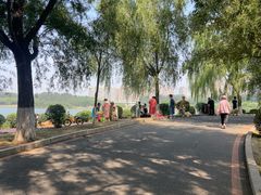-丁香湖公园