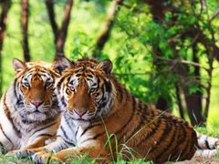 -北京野生动物园